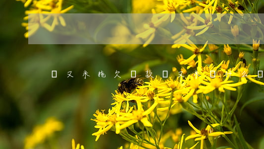 愛又米拖欠還款(愛又米為什么還不了款)