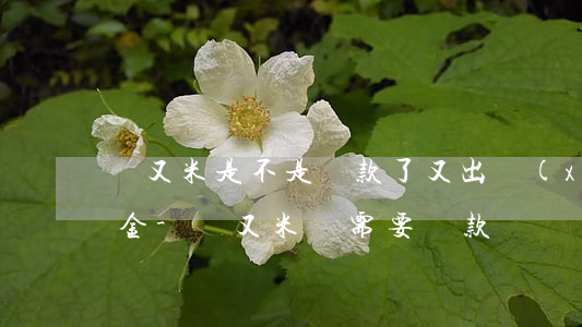愛又米是不是還款了又出現(xiàn)本金-愛又米還需要還款嗎
