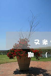 愛又米欠款已嚴(yán)重逾期(愛又米逾期費(fèi)用多少)