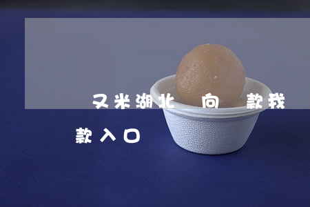 愛又米湖北雙向還款我該還給誰-愛又米還款入口