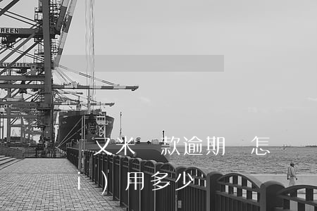 愛又米貸款逾期會怎樣(愛又米逾期費(fèi)用多少)