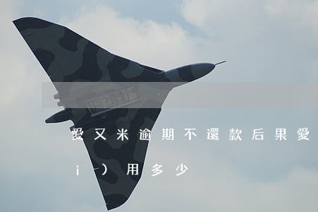 愛又米逾期不還款后果(愛又米逾期費(fèi)用多少)