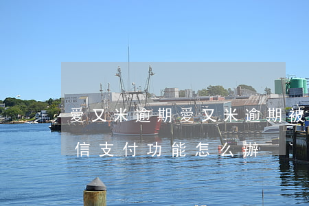 愛又米逾期(愛又米逾期被凍結(jié)微信支付功能怎么辦)