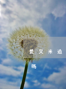 愛又米逾期還款失敗(愛又米下架了還要還款嗎)