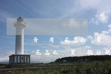 愛奇藝有錢花怎么設置還款日期-愛奇藝有錢花怎么設置還款日期和時間