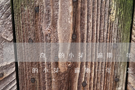 愛奇藝的小芽貸逾期一年會怎么樣-愛奇藝的小芽貸逾期一年會怎么樣嗎