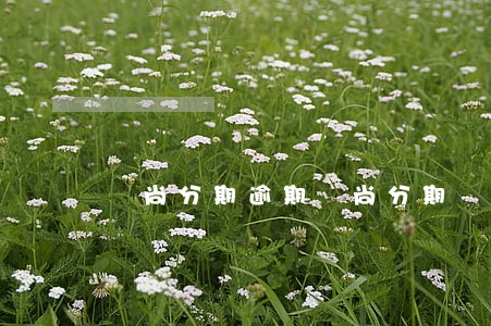 愛尚分期逾期 愛尚分期購合法嗎