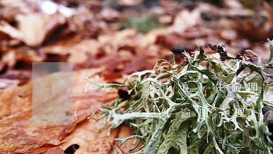 愛幫吾大學(xué)生逾期處理(愛幫吾大學(xué)生逾期處理)