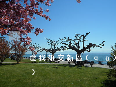 愛我雄安新區(qū)(愛我雄安新區(qū))