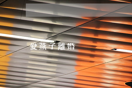 愛燕子 離婚