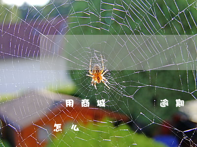 愛用商城會員費逾期 愛用商城會員費逾期會怎么樣