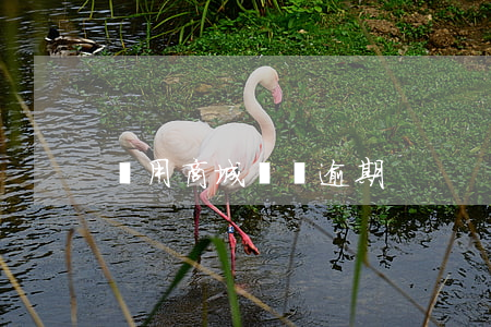 愛用商城會員逾期
