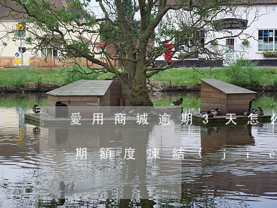 愛用商城逾期3天怎么沒有電話（愛用商城逾期額度凍結(jié)）