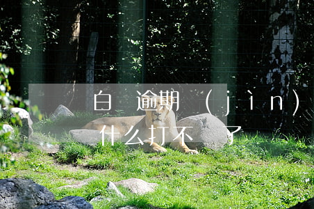 愛白條逾期進(jìn)不去怎么辦 愛白條為什么打不開了