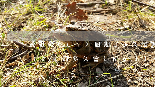 愛租機(jī)逾期了多久起訴(愛租機(jī)逾期多久會(huì)被起訴)