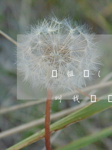 愛租機(jī)逾期了強(qiáng)行叫我買斷,還能有辦法分期嗎（愛租機(jī)逾期7天要求強(qiáng)制買斷嗎）