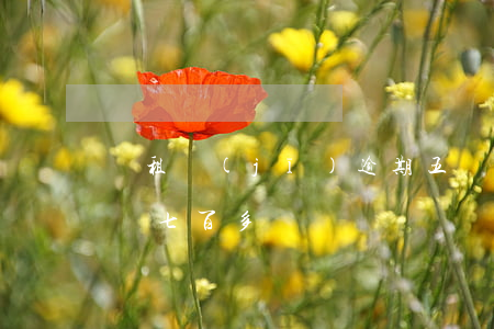 愛租機(jī)逾期五個(gè)月逾期金額七百多