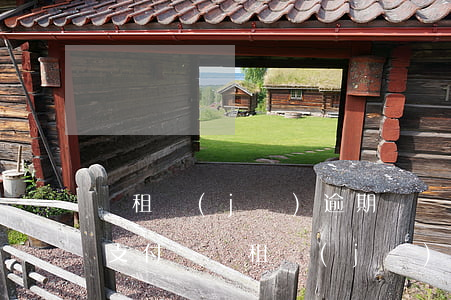 愛租機(jī)逾期會凍結(jié)花唄(支付寶愛租機(jī)逾期怎么樣)
