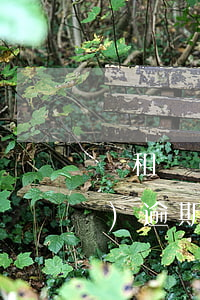 愛租機(jī)逾期會起訴嗎 愛租機(jī)逾期后會被起訴嗎