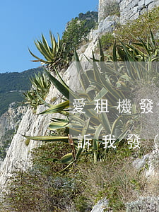 愛租機發(fā)了律師函怎么辦(愛租機起訴我發(fā)信息是真的嗎)
