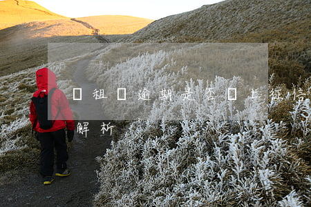 愛租機逾期是否會上征信？影響及解決辦法解析
