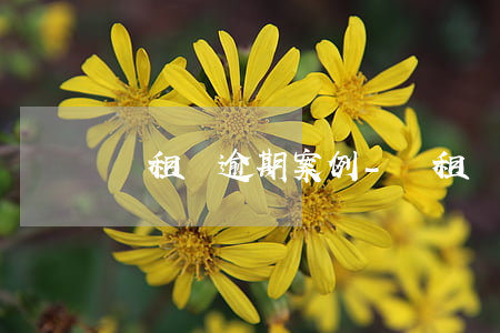 愛租機逾期案例-愛租機逾期費用很高