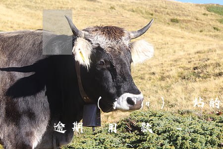 愛錢進(jìn)錢站的網(wǎng)貸逾期還用還款嗎-愛錢進(jìn)錢站的網(wǎng)貸逾期還用還款嗎安全嗎