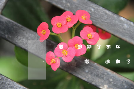 愛錢進借錢逾期了可以協(xié)商還款嗎-愛錢進借錢逾期了可以協(xié)商還款嗎怎么辦