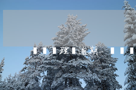 愛錢進理財逾期-愛錢進理財最新消息