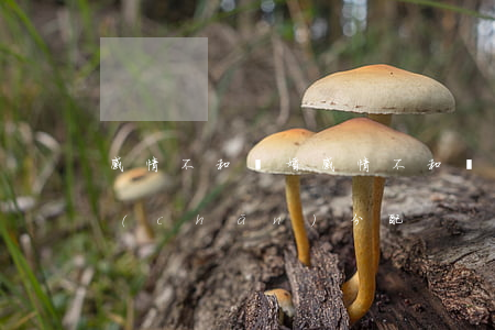 感情不和離婚(感情不和離婚財(cái)產(chǎn)分配)