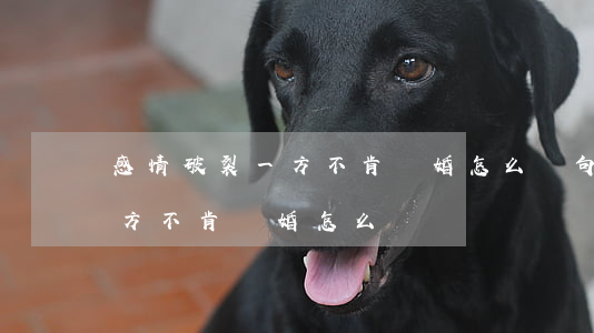 感情破裂一方不肯離婚怎么辦句子(婚姻中一方不肯離婚怎么辦)
