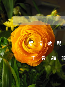 感情破裂一方不肯離婚怎么辦(感情破裂一方不肯離婚怎么辦拿不滿一歲的孩子要挾)