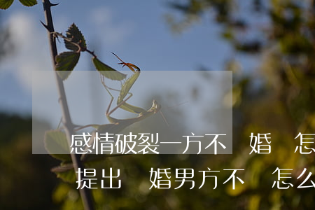 感情破裂一方不離婚該怎么辦(感情破裂女方提出離婚男方不離怎么辦)