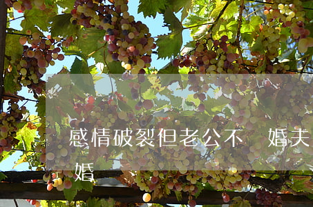 感情破裂但老公不離婚(夫妻感情破裂又不離婚)