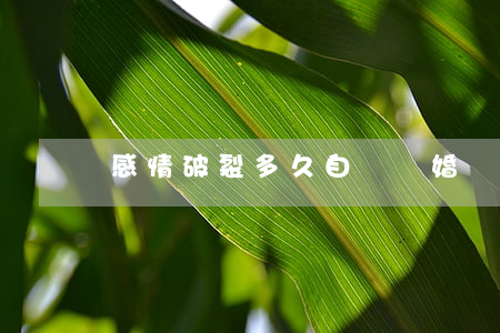 感情破裂多久自動離婚