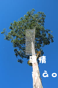 感情糾紛公安調(diào)解(民警調(diào)解矛盾糾紛)
