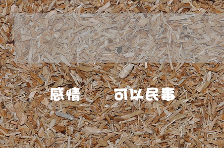 感情糾紛可以民事訴訟嗎(感情糾紛可以起訴嗎)