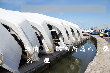 感情糾紛派出所怎么處理(感情糾紛派出所怎么處理)
