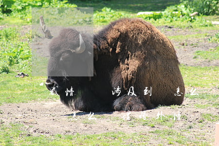 感情糾紛涉及到錢怎么處理(感情糾紛涉及到錢怎么處理婚外情)