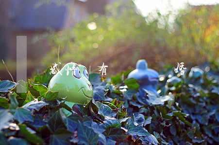 感情線有島紋會離婚嗎