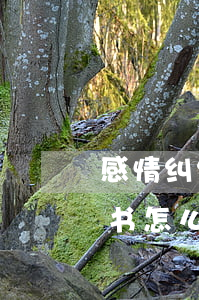 感情纠纷协议书怎么写才有效(家庭纠纷协议书怎么写才有效)