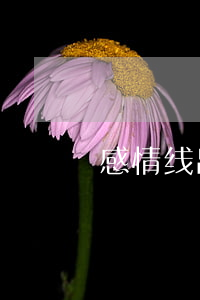 感情线出现岛纹会离婚吗