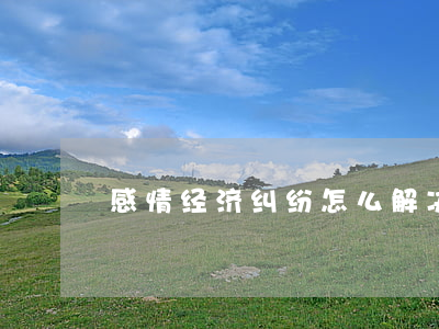 感情经济纠纷怎么解决(经济纠纷怎么调解)