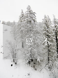 感覺不愛老公了想離婚怎么辦