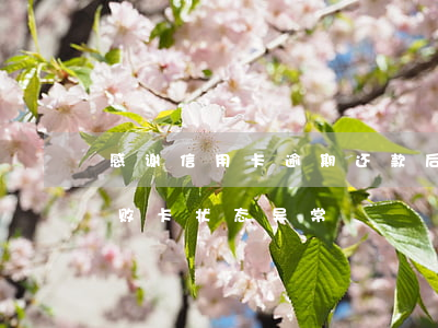 感谢信用卡逾期还款后果(信用卡逾期还款失败卡状态异常)