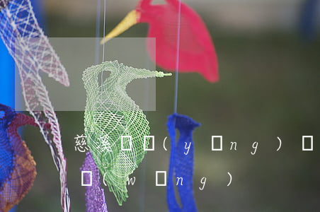慈溪撫養(yǎng)權糾紛律師(慈溪法院網(wǎng))