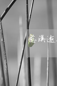 慈溪逾期年检