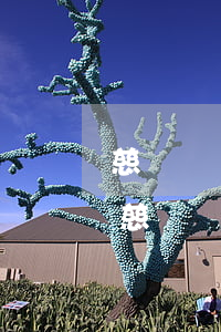 慈銘體檢不準(zhǔn)可以到法院告嗎(慈銘體檢不預(yù)約可以直接去嗎)