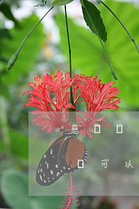 慈銘體檢不準可以到法院告嗎(慈銘體檢不預約可以直接去嗎)