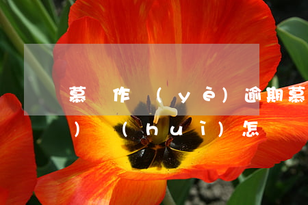 慕課作業(yè)逾期(慕課不寫作業(yè)會(huì)怎樣)